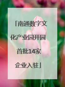 南通数字文化产业园开园 首批14家企业入驻