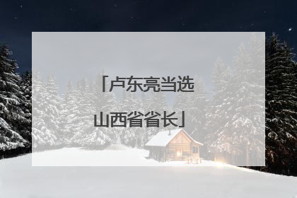 卢东亮当选山西省省长