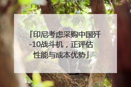 印尼考虑采购中国歼-10战斗机，正评估性能与成本优势