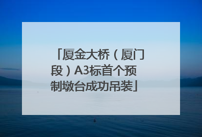 厦金大桥（厦门段）A3标首个预制墩台成功吊装