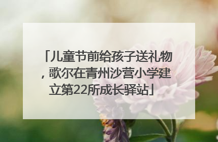 儿童节前给孩子送礼物，歌尔在青州沙营小学建立第22所成长驿站