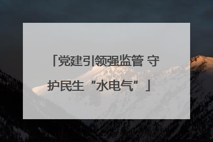 党建引领强监管 守护民生“水电气”