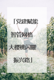 党建赋能智管网格 大樱桃闪耀振兴路
