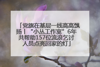 党旗在基层一线高高飘扬丨“小丛工作室”6年共帮助157位流浪乞讨人员点亮回家的灯