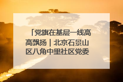 党旗在基层一线高高飘扬｜北京石景山区八角中里社区党委：用脚步丈量民生