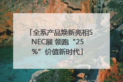 全系产品焕新亮相SNEC展 领跑“25%”价值新时代