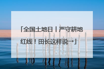 全国土地日丨严守耕地红线！田长这样说→