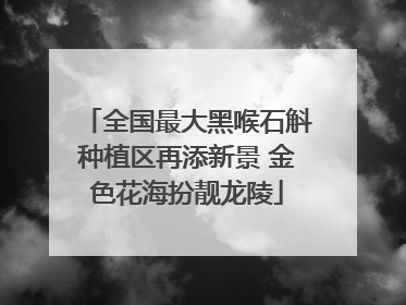 全国最大黑喉石斛种植区再添新景 金色花海扮靓龙陵