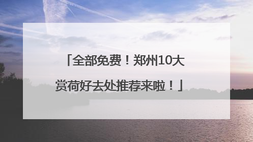 全部免费！郑州10大赏荷好去处推荐来啦！