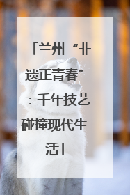 兰州“非遗正青春”：千年技艺碰撞现代生活