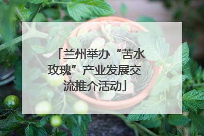 兰州举办“苦水玫瑰”产业发展交流推介活动
