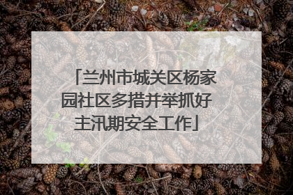 兰州市城关区杨家园社区多措并举抓好主汛期安全工作