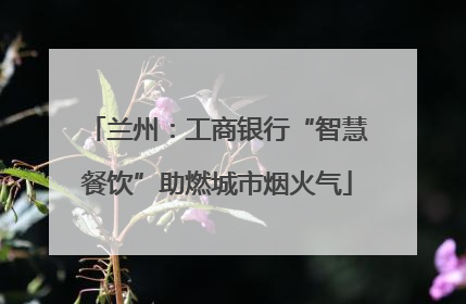 兰州：工商银行“智慧餐饮”助燃城市烟火气