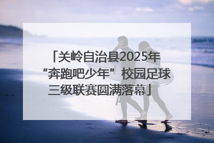 关岭自治县2025年“奔跑吧少年”校园足球三级联赛圆满落幕