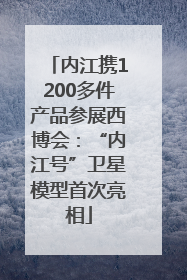内江携1200多件产品参展西博会：“内江号”卫星模型首次亮相