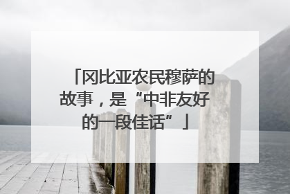 冈比亚农民穆萨的故事，是“中非友好的一段佳话”