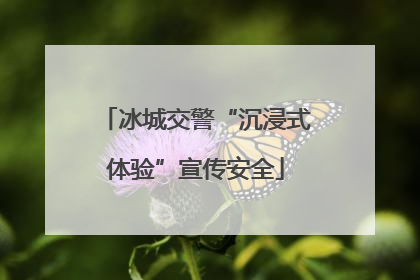 冰城交警“沉浸式体验”宣传安全
