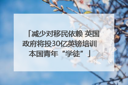 减少对移民依赖 英国政府将投30亿英镑培训本国青年“学徒”