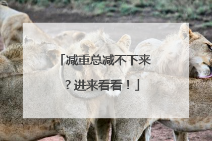 减重总减不下来？进来看看！