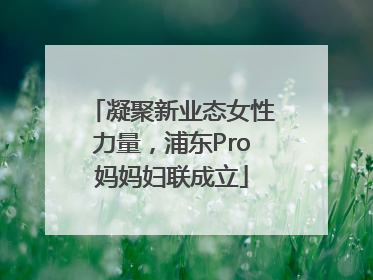 凝聚新业态女性力量，浦东Pro妈妈妇联成立
