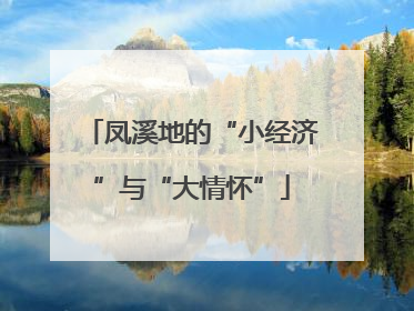 凤溪地的“小经济”与“大情怀”