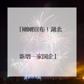 刚刚宣布！湖北新增一家国企