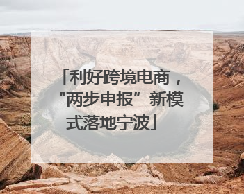利好跨境电商，“两步申报”新模式落地宁波