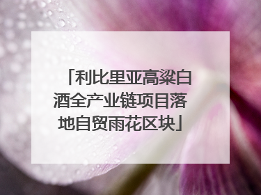 利比里亚高粱白酒全产业链项目落地自贸雨花区块