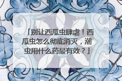 别让西瓜虫肆虐！西瓜虫怎么彻底消灭，潮虫用什么药最有效？