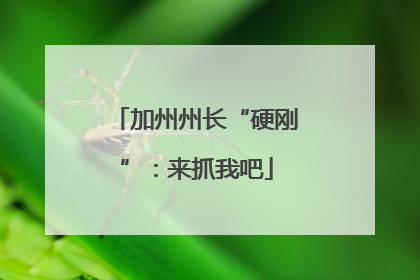 加州州长“硬刚”：来抓我吧