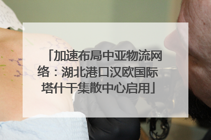 加速布局中亚物流网络：湖北港口汉欧国际塔什干集散中心启用