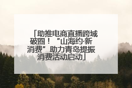 助推电商直播跨域破圈！“山海约·新消费”助力青岛提振消费活动启动