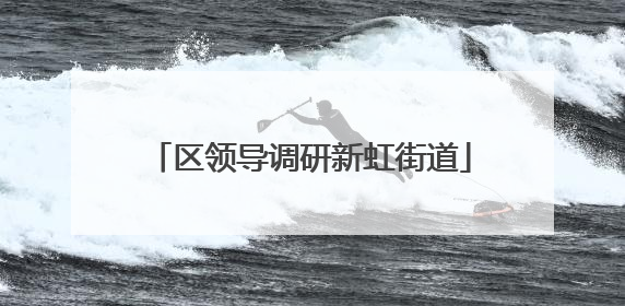 区领导调研新虹街道