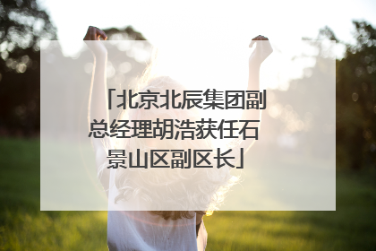 北京北辰集团副总经理胡浩获任石景山区副区长