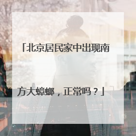 北京居民家中出现南方大蟑螂，正常吗？