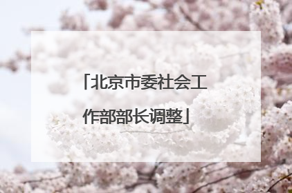 北京市委社会工作部部长调整