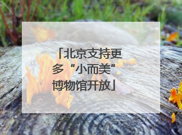 北京支持更多“小而美”博物馆开放