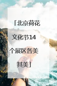北京荷花文化节14个展区各美其美