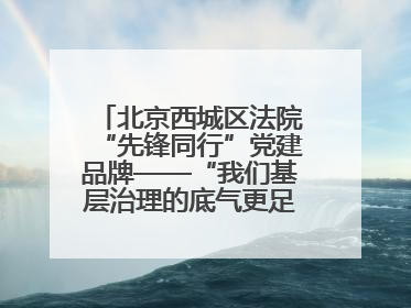 北京西城区法院“先锋同行”党建品牌——“我们基层治理的底气更足了！”