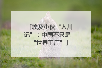 埃及小伙“入川记”：中国不只是“世界工厂”