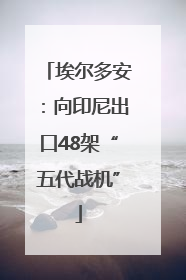 埃尔多安：向印尼出口48架“五代战机”