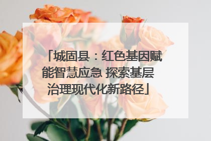 城固县：红色基因赋能智慧应急 探索基层治理现代化新路径