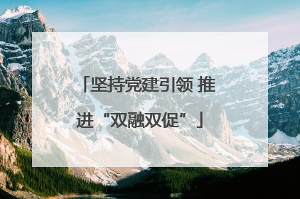 坚持党建引领 推进“双融双促”