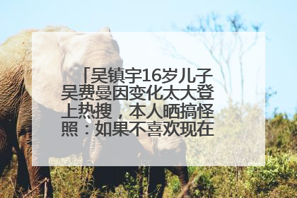 吴镇宇16岁儿子吴费曼因变化太大登上热搜，本人晒搞怪照：如果不喜欢现在的我可以离开