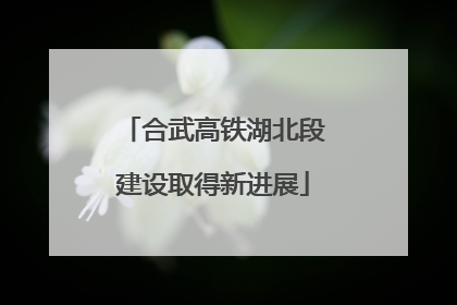 合武高铁湖北段建设取得新进展