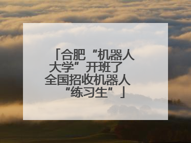 合肥“机器人大学”开班了 全国招收机器人“练习生”