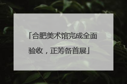 合肥美术馆完成全面验收，正筹备首展