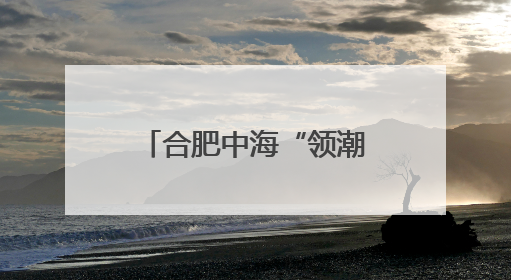 合肥中海“领潮杯”乒乓球赛点燃热情，以球会友筑邻里温情