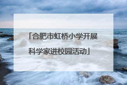 合肥市虹桥小学开展科学家进校园活动