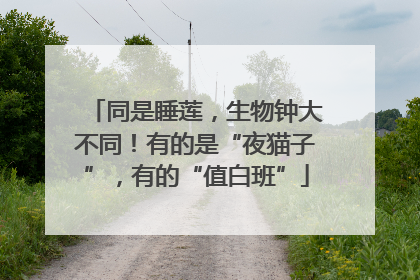 同是睡莲，生物钟大不同！有的是“夜猫子”，有的“值白班”